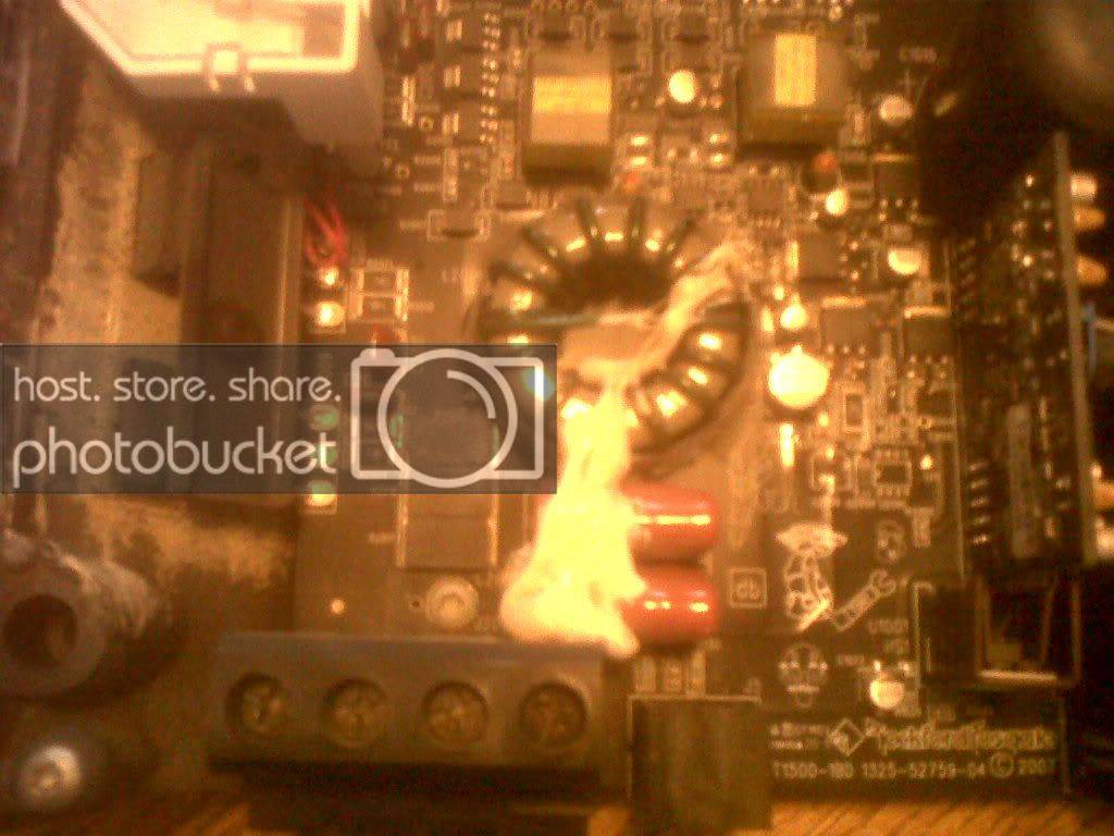 IMG00124-20120203-1531.jpg