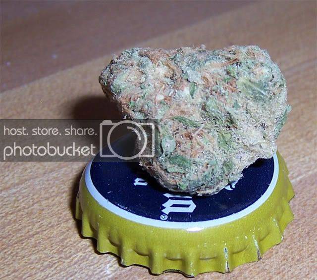 stockphotographofmarijaunalolyeahth.jpg