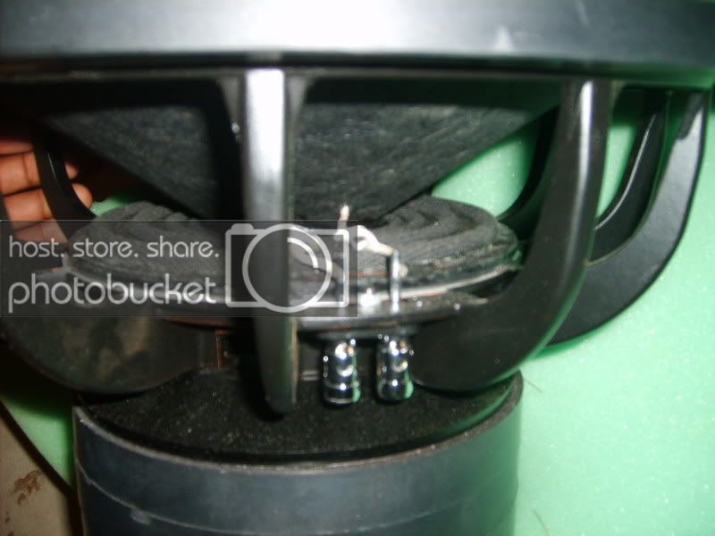 SD531169.jpg