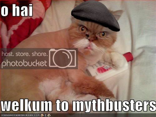 funny-pictures-mythbuster-cat.jpg