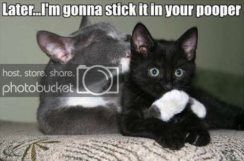 epic-funny-231.jpg