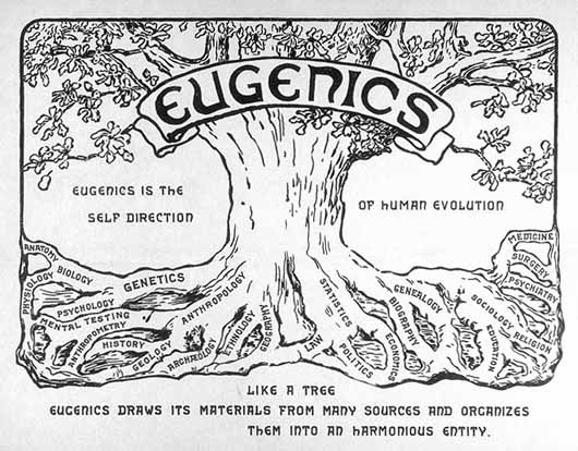 EugenicsTreeUSlg.jpg