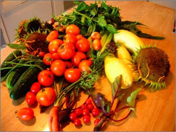 garden-vegies.jpg
