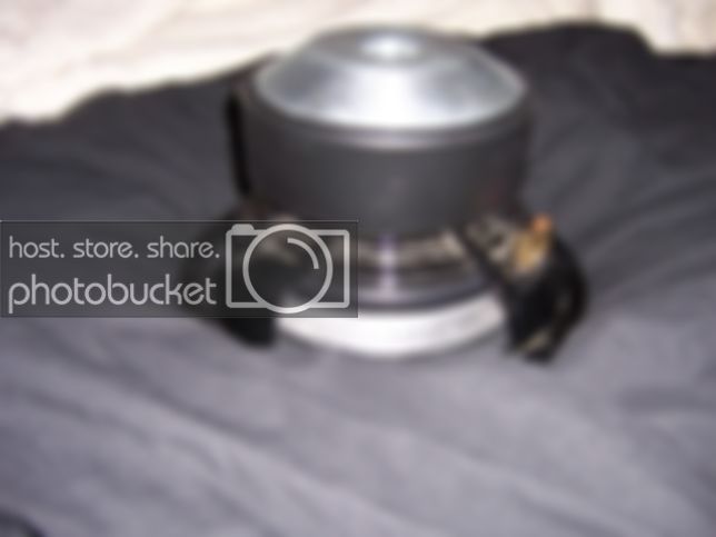 Picture014.jpg