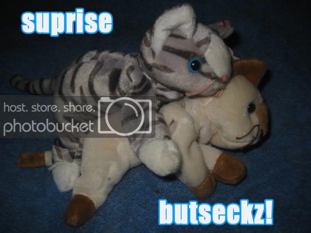 fake-butseckz.jpg