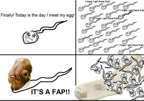 tumblr_loh7heKjx11qcxcjfo1_500.jpg