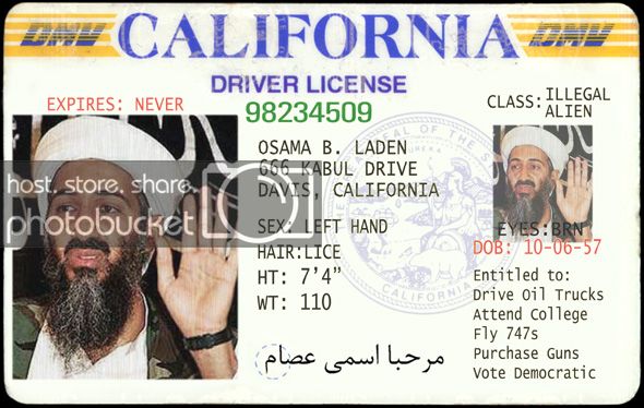 terrorist_drivers_license_zps0bdff62a.jpg