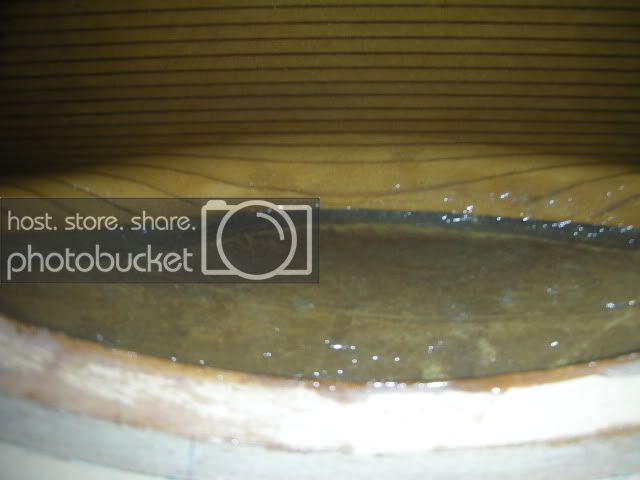DSCN3230.jpg