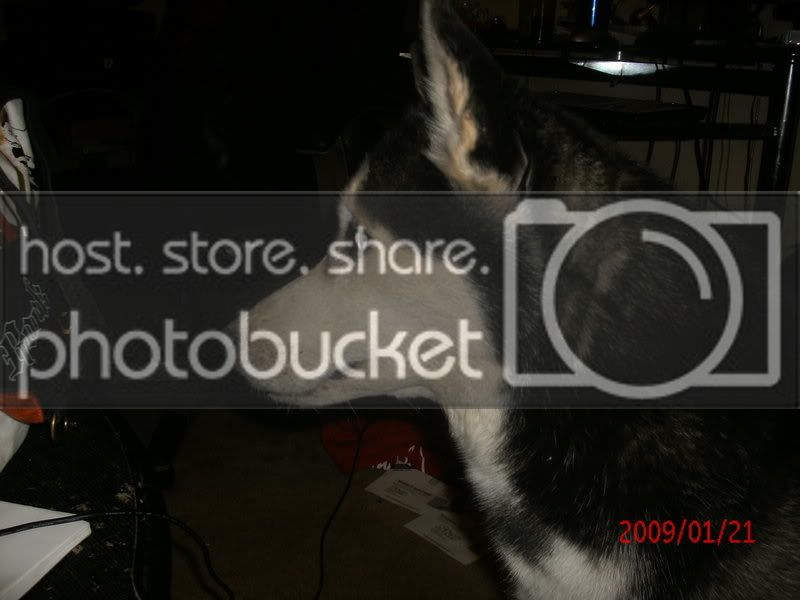 015-2.jpg