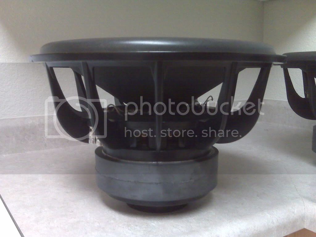 IMG00868.jpg