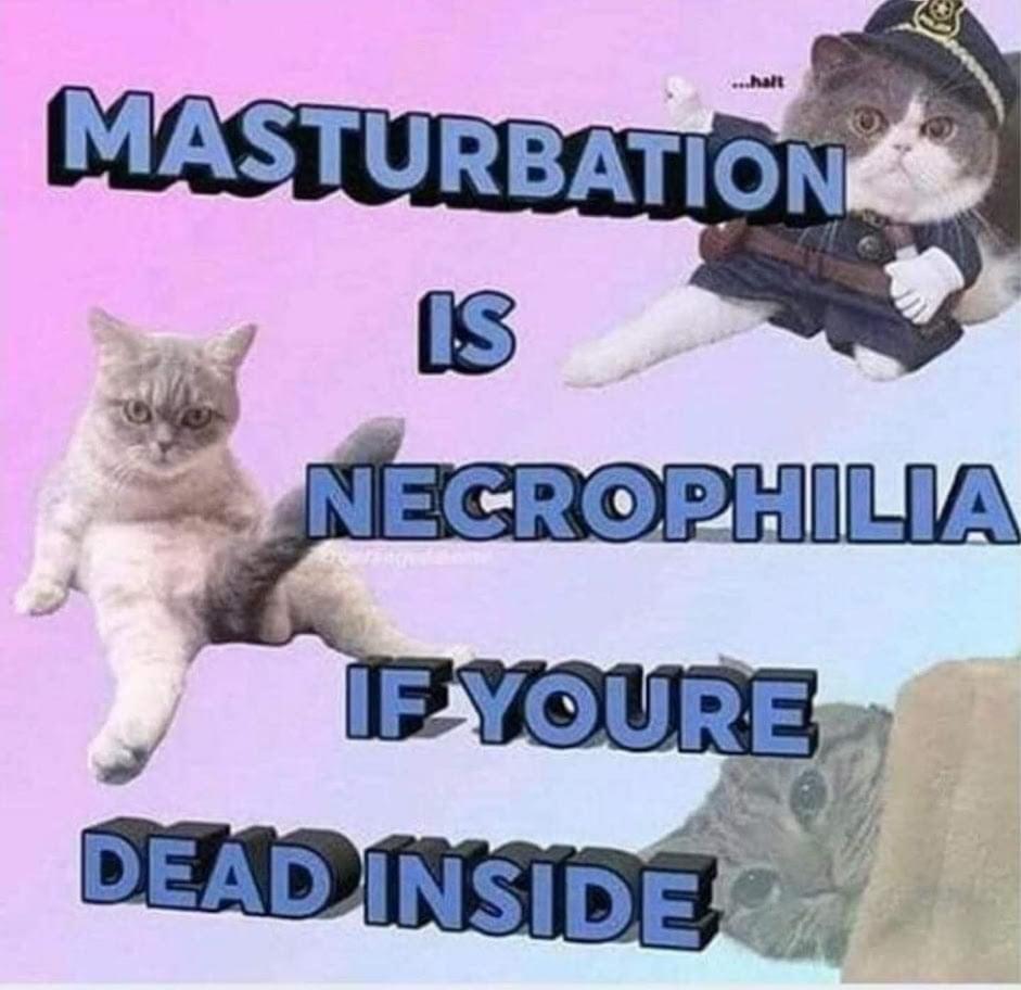 re8cy2rdwcc81.jpg
