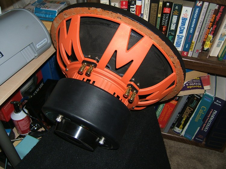 5203380612_large.jpg
