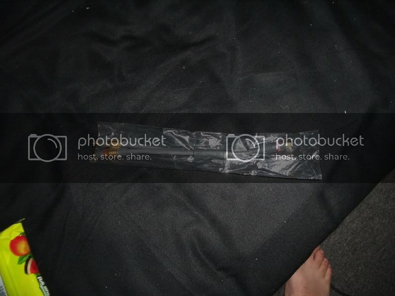 IMGP1452.jpg