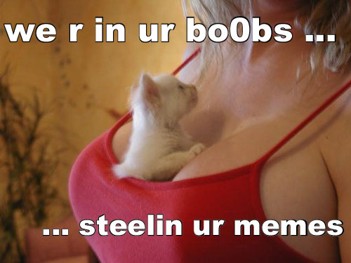 lol_memes_large.jpg