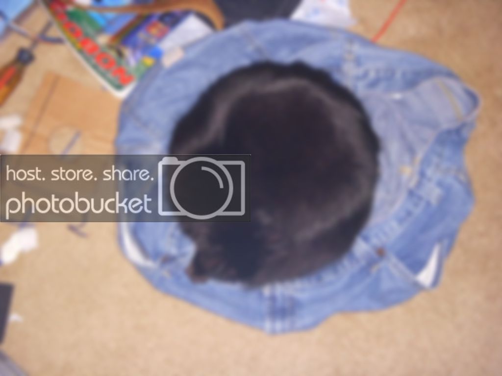 DSCN1829.jpg