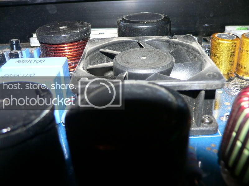 P1050141.jpg