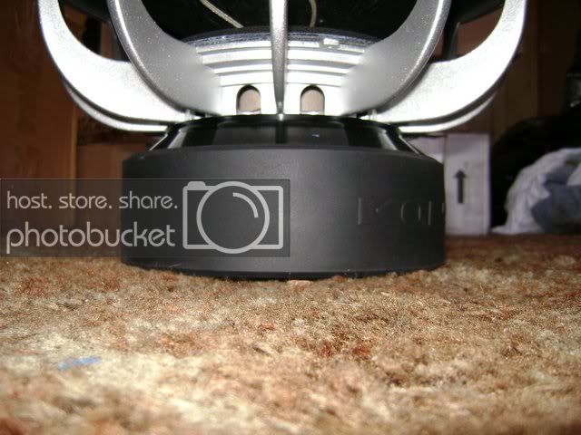 DSC00165.jpg