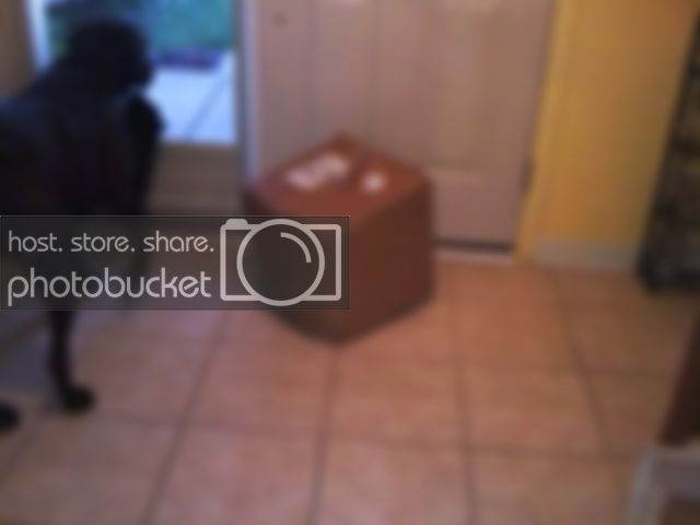 0602002056.jpg