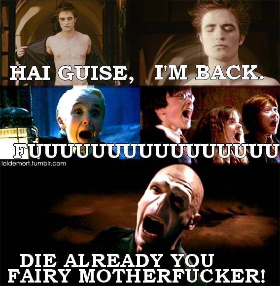 FUUUU-harry-potter-vs-twilight-13721934-568-579.jpg