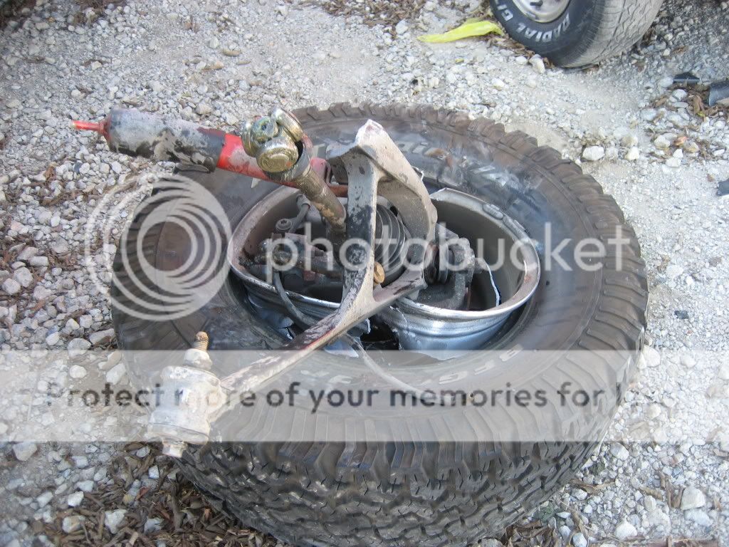 IMG_1956.jpg