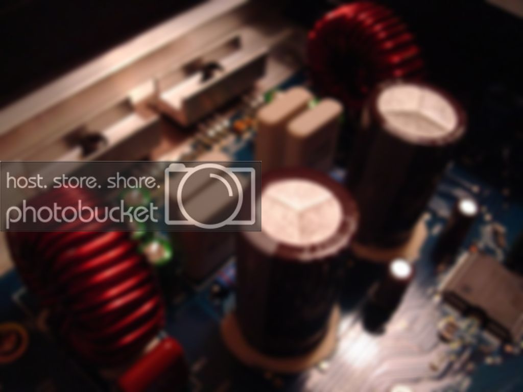 DSC01826.jpg