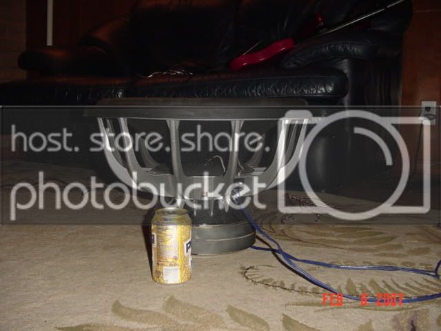 DSC00779.jpg