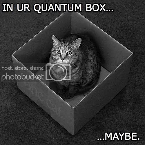 schrodingers-lolcat1-1.jpg