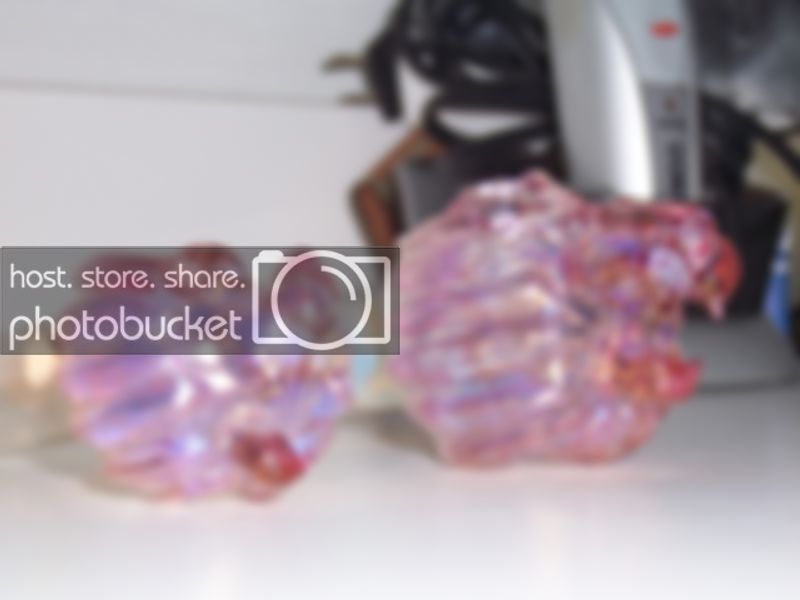 100_8544.jpg