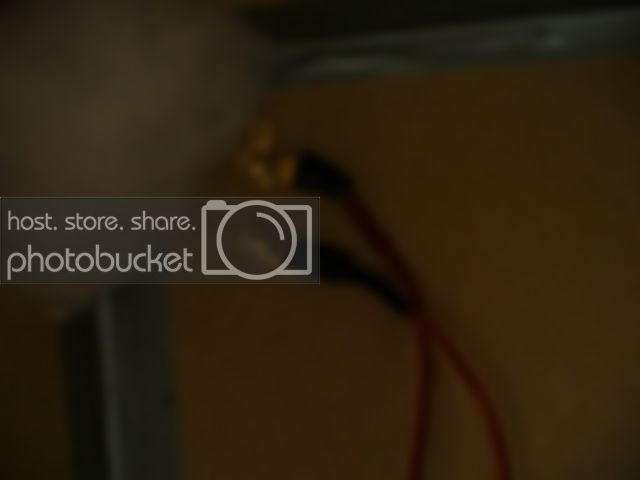 P1010414.jpg