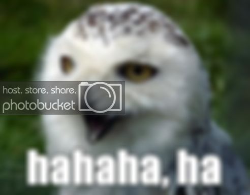 hajaja.jpg