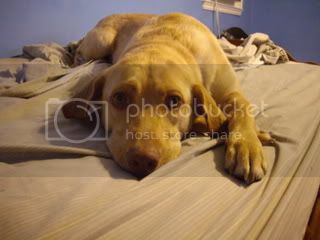 PICS71608014-1.jpg
