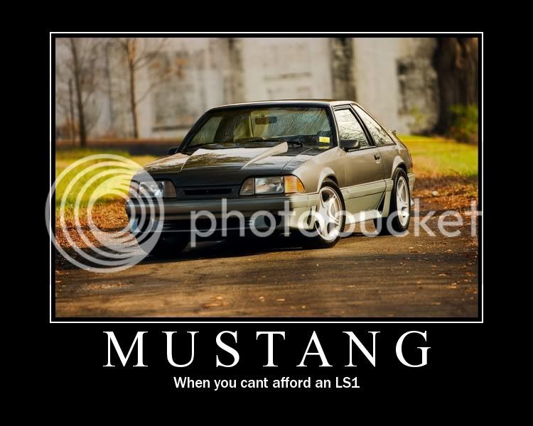 mustang.jpg