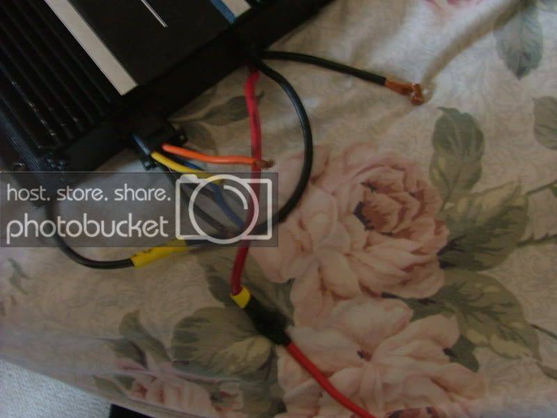 DSCF2538.jpg