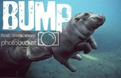 bump.jpg