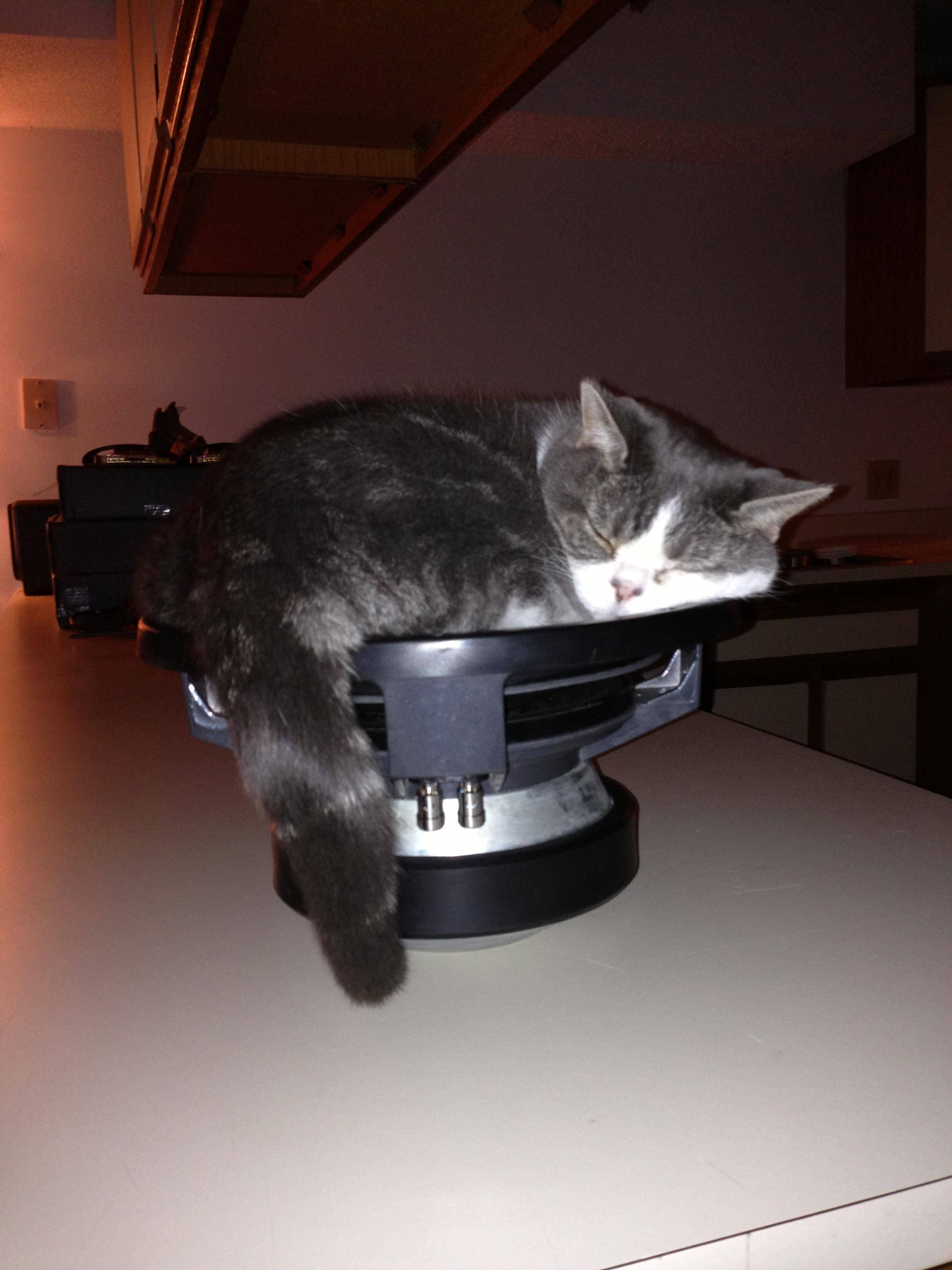 TRZnku8.jpg