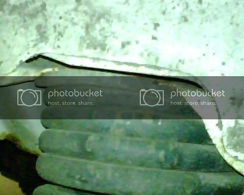 IMG00027.jpg