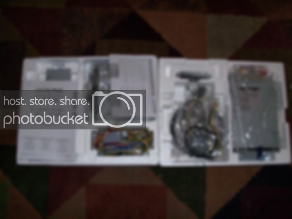 dd3818006.jpg