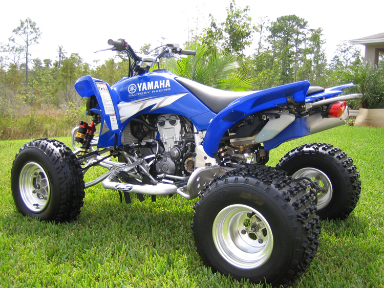YFZ4502.jpg