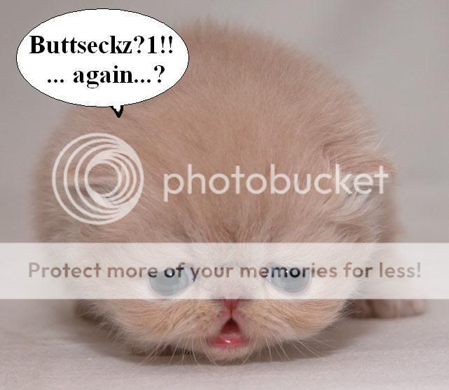 upperskittybuttseckz.jpg
