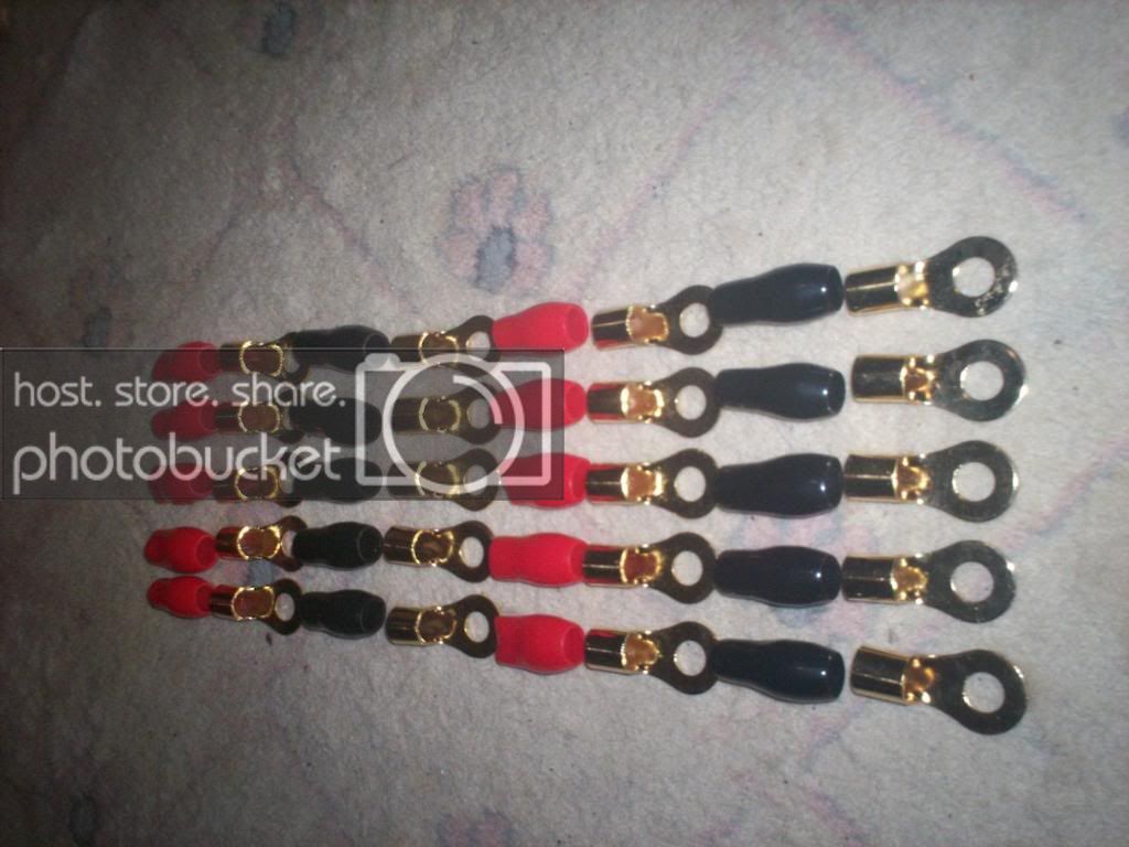 100_0213copy.jpg