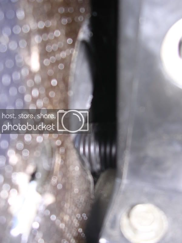 DSCN6169.jpg