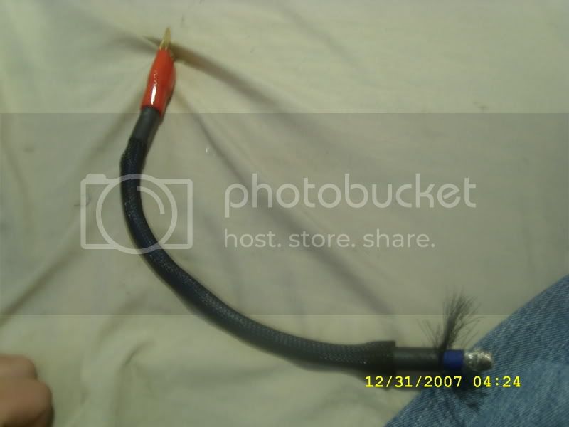 SL270468.jpg