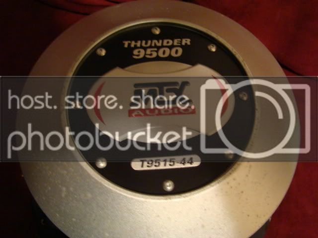 DSC01637.jpg