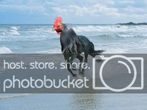 horsecock-58451.jpg