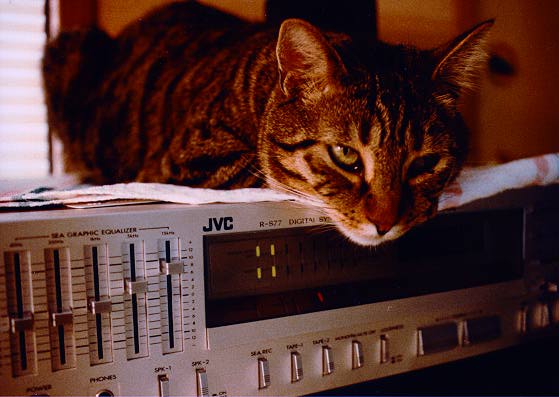 pepper.stereo.jpg