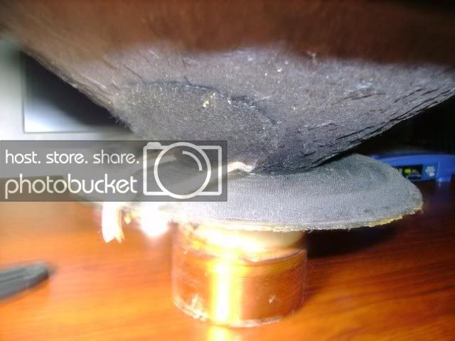 DSC00624.jpg