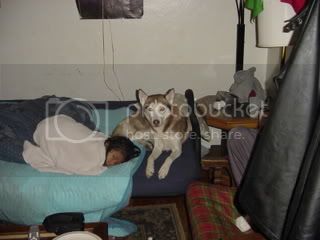 DSC00005.jpg