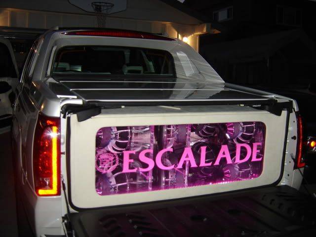 DSC03503.jpg