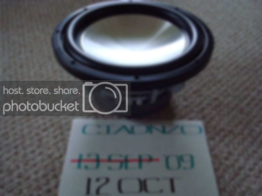 DSC03500.jpg
