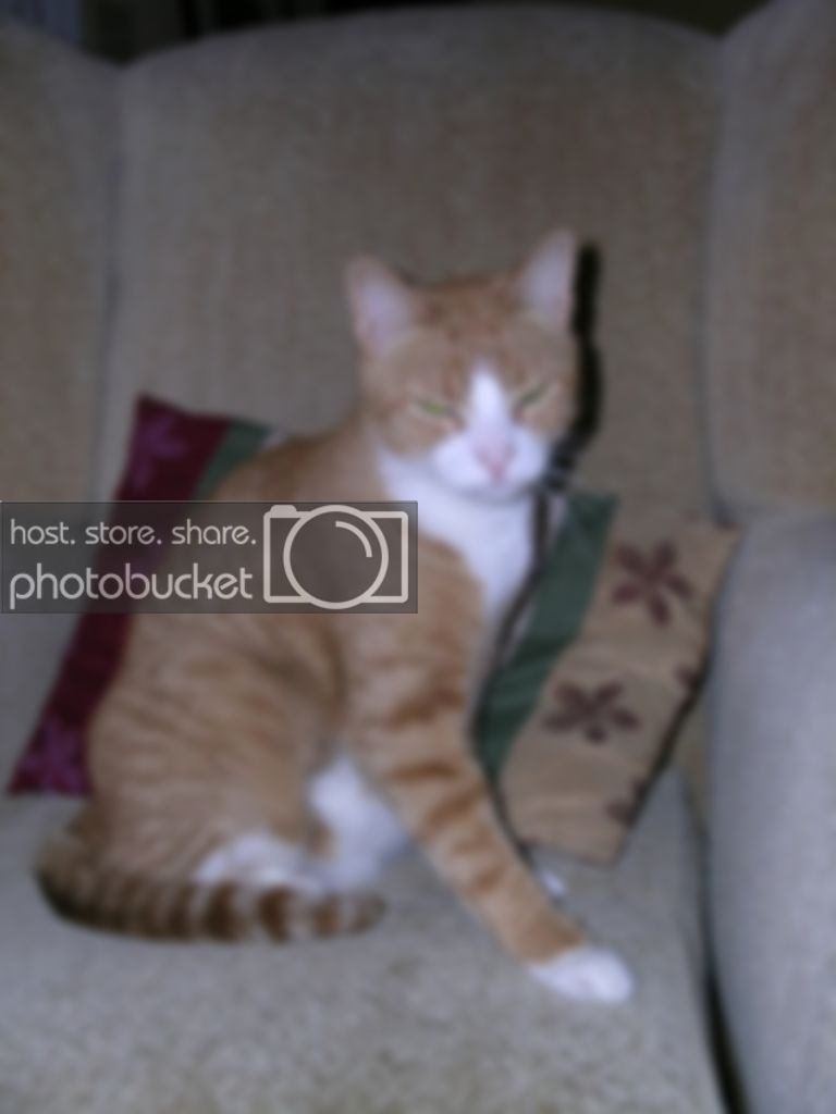 DSCN9209.jpg